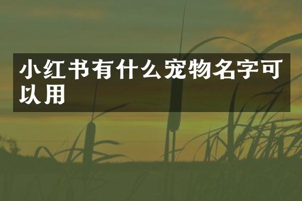 小红书有什么宠物名字可以用