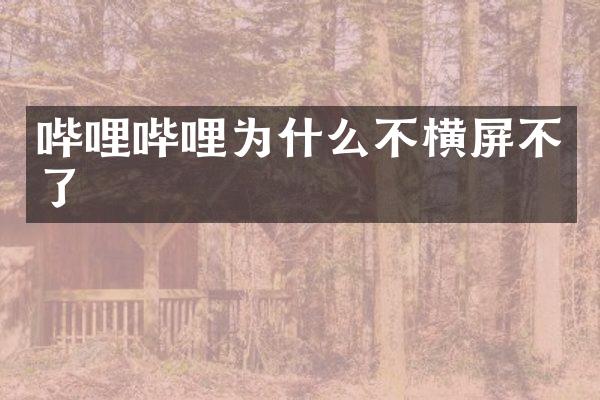 哔哩哔哩为什么不横屏不了