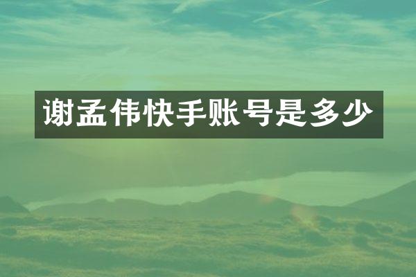 谢孟伟快手账号是多少