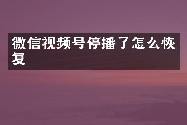 微信视频号停播了怎么恢复