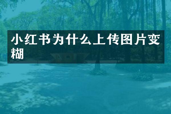 小红书为什么上传图片变糊