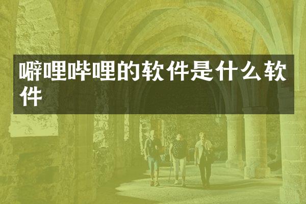 噼哩哔哩的软件是什么软件