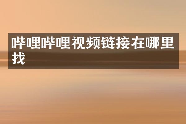 哔哩哔哩视频链接在哪里找