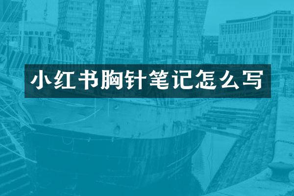 小红书胸针笔记怎么写