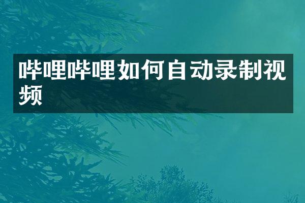 哔哩哔哩如何自动录制视频