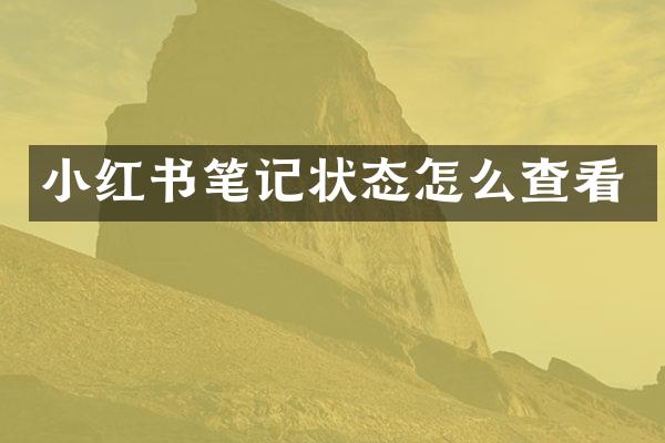 小红书笔记状态怎么查看