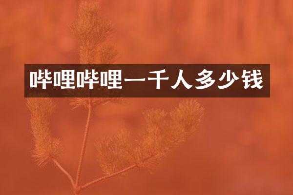 哔哩哔哩一千人多少钱