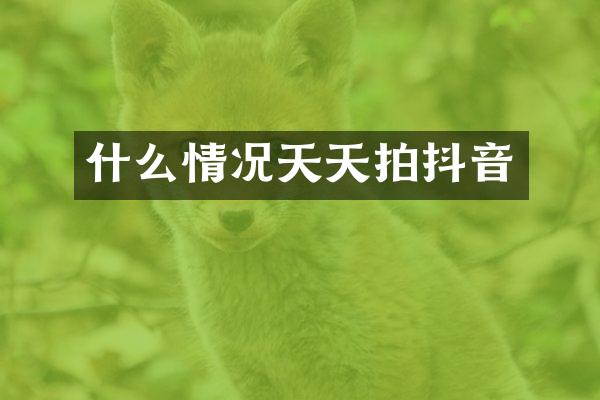 什么情况天天拍抖音