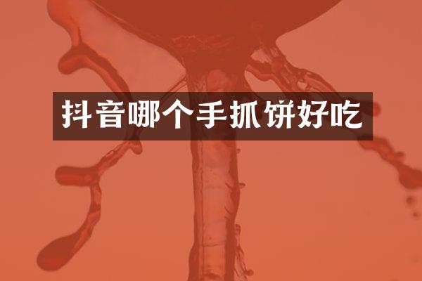 抖音哪个手抓饼好吃