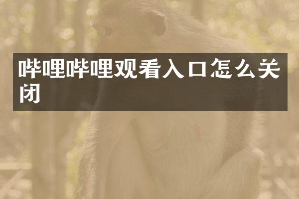 哔哩哔哩观看入口怎么关闭