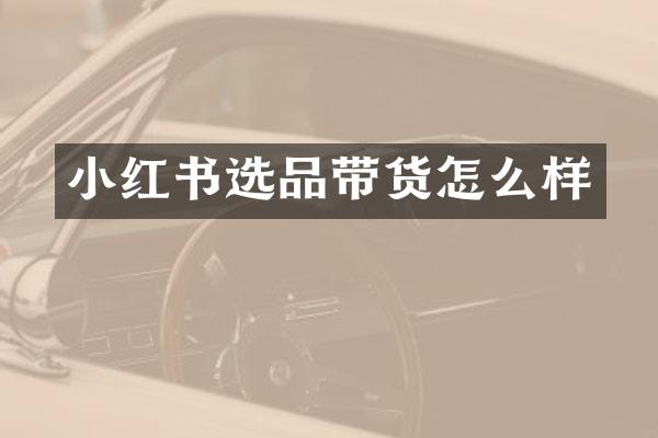 小红书选品带货怎么样