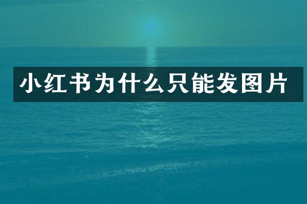 小红书为什么只能发图片