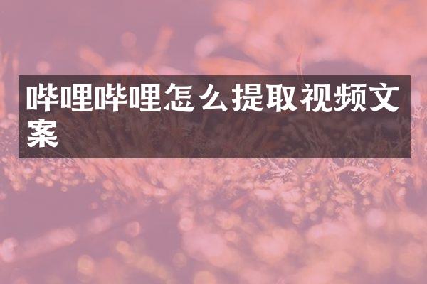 哔哩哔哩怎么提取视频文案