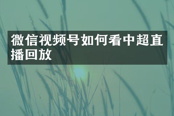 微信视频号如何看中超直播回放