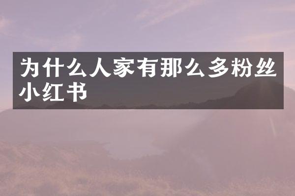 为什么人家有那么多粉丝小红书