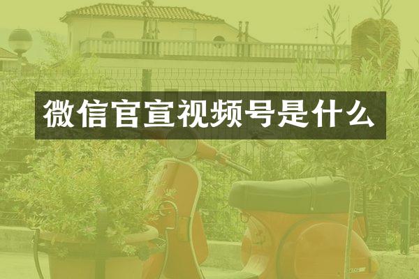微信官宣视频号是什么