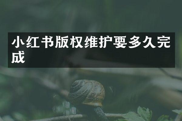 小红书版权维护要多久完成