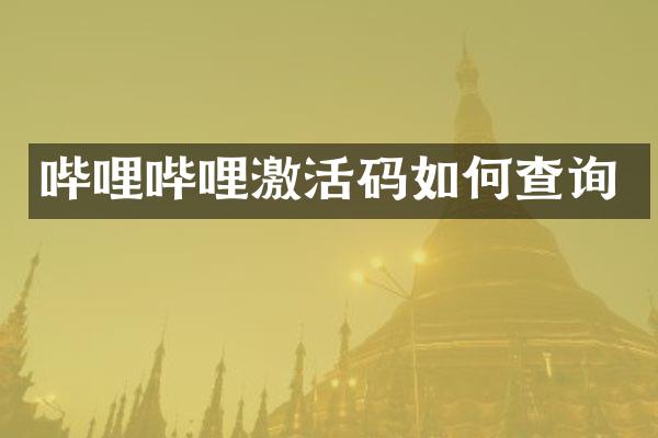 哔哩哔哩激活码如何查询