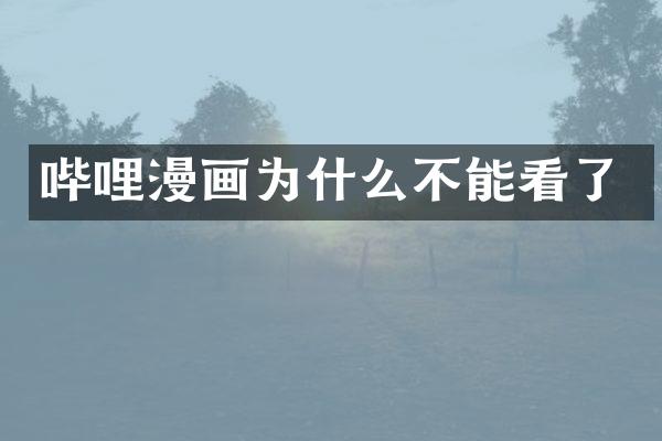 哔哩漫画为什么不能看了