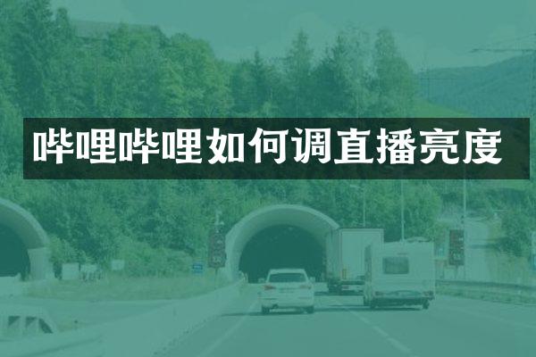 哔哩哔哩如何调直播亮度