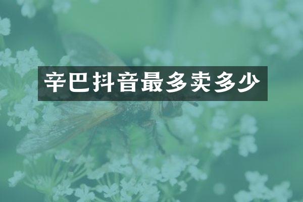 辛巴抖音最多卖多少