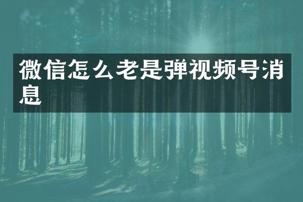 微信怎么老是弹视频号消息
