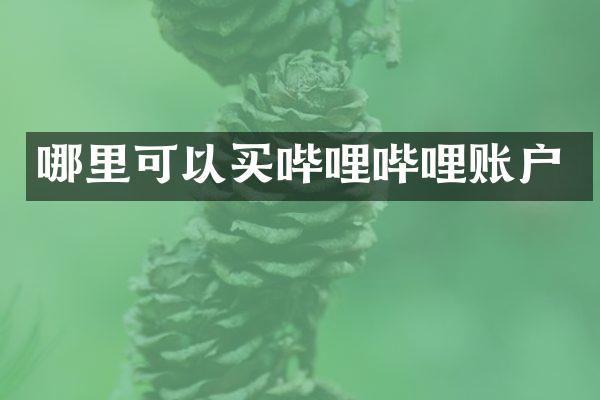 哪里可以买哔哩哔哩账户