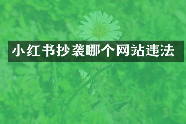 小红书抄袭哪个网站违法