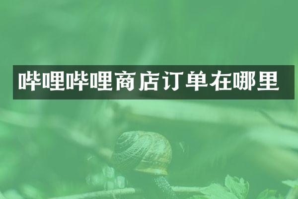 哔哩哔哩商店订单在哪里