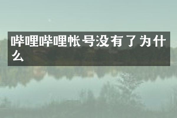 哔哩哔哩帐号没有了为什么