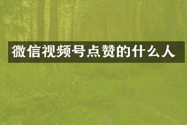 微信视频号点赞的什么人