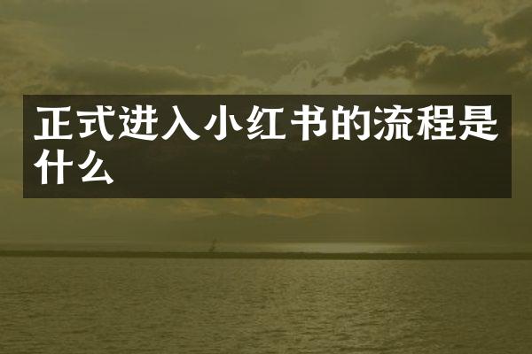 正式进入小红书的流程是什么