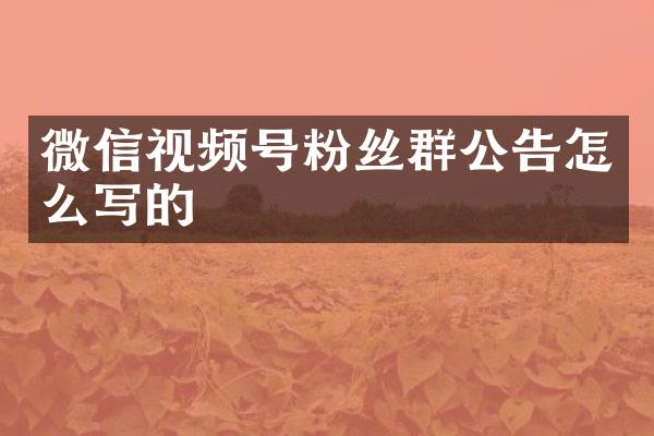 微信视频号粉丝群公告怎么写的