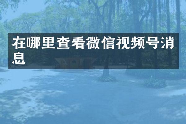 在哪里查看微信视频号消息