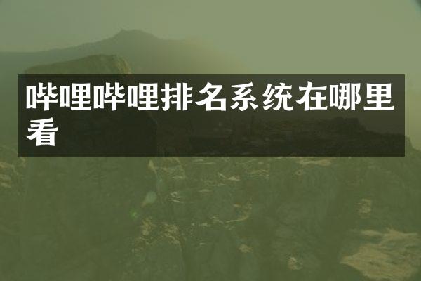 哔哩哔哩排名系统在哪里看