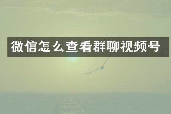 微信怎么查看群聊视频号