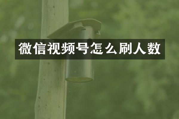 微信视频号怎么刷人数