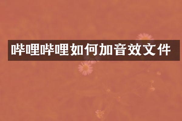 哔哩哔哩如何加音效文件