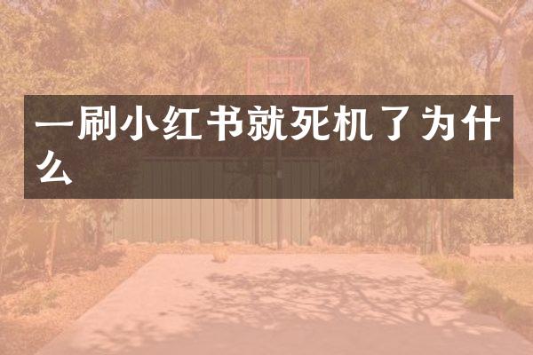 一刷小红书就死机了为什么