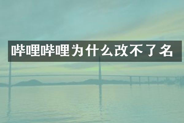 哔哩哔哩为什么改不了名