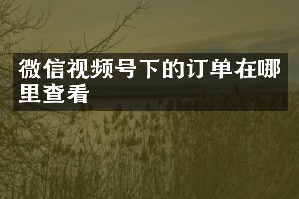 微信视频号下的订单在哪里查看