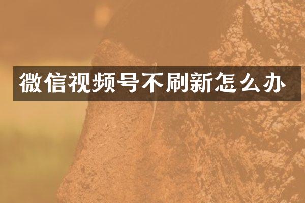 微信视频号不刷新怎么办