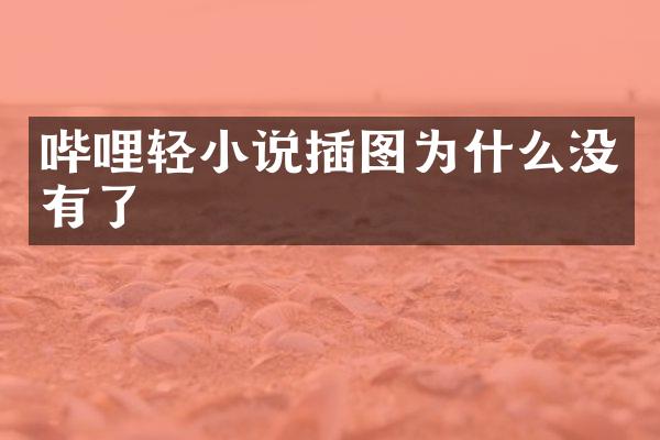 哔哩轻小说插图为什么没有了