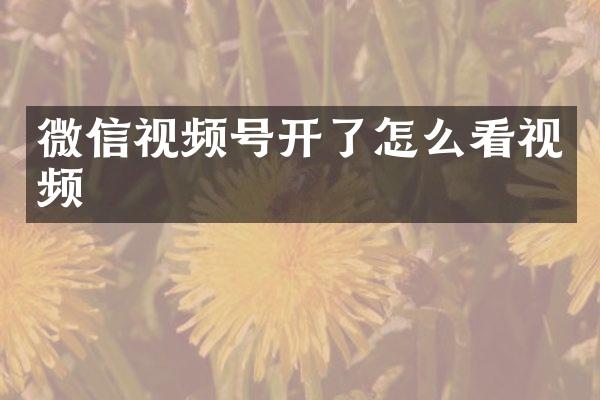 微信视频号开了怎么看视频
