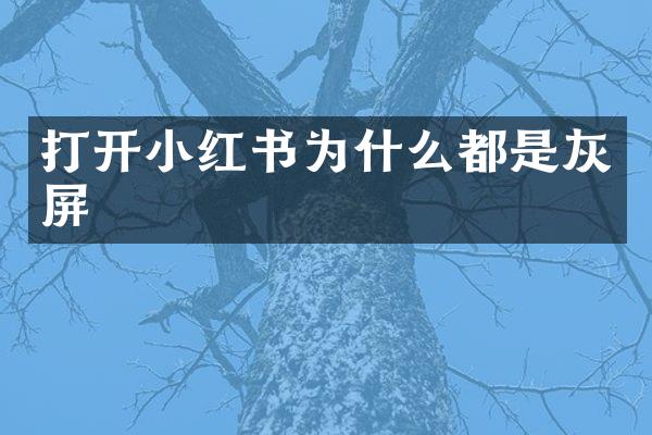 打开小红书为什么都是灰屏