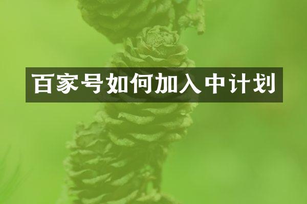 百家号如何加入中计划