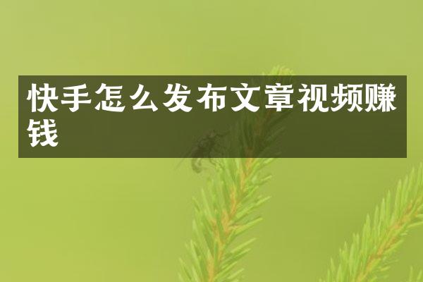 快手怎么发布文章视频赚钱