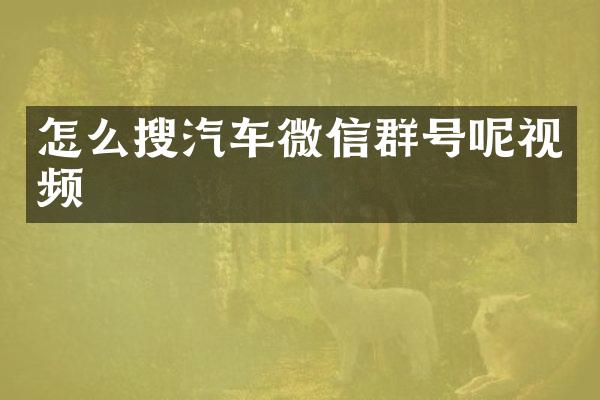 怎么搜汽车微信群号呢视频