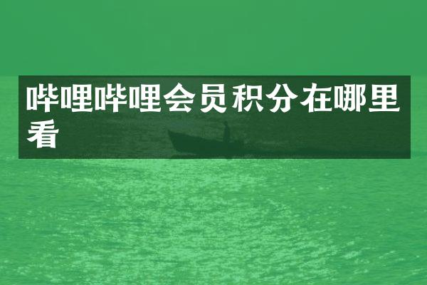 哔哩哔哩会员积分在哪里看