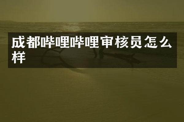 成都哔哩哔哩审核员怎么样